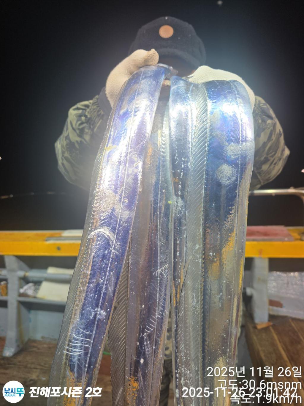 낚시뚜,갈치,진해행암항,진해포시즌 2호,낚시뚜6