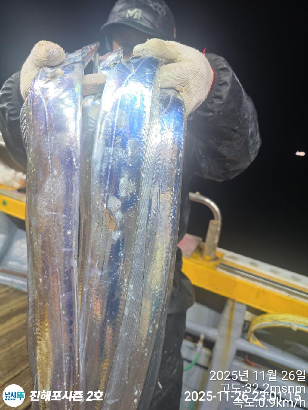 낚시뚜,갈치,진해행암항,진해포시즌 2호,낚시뚜5