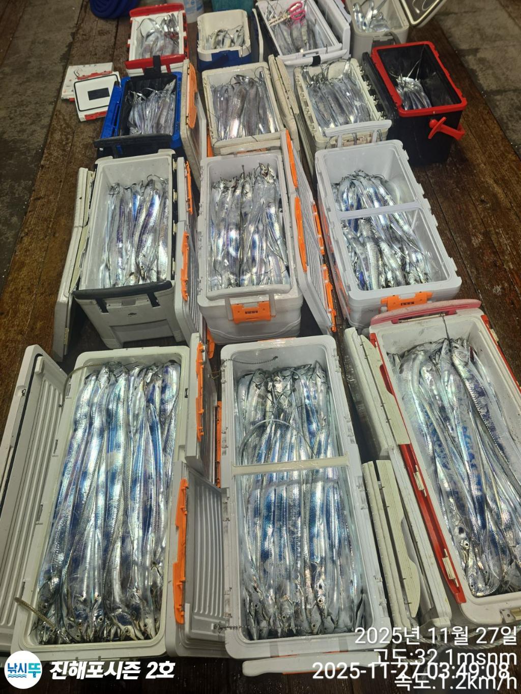 낚시뚜,갈치,진해행암항,진해포시즌 2호,낚시뚜2