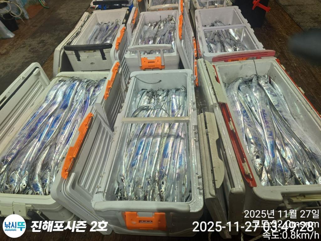 낚시뚜,갈치,진해행암항,진해포시즌 2호,낚시뚜22