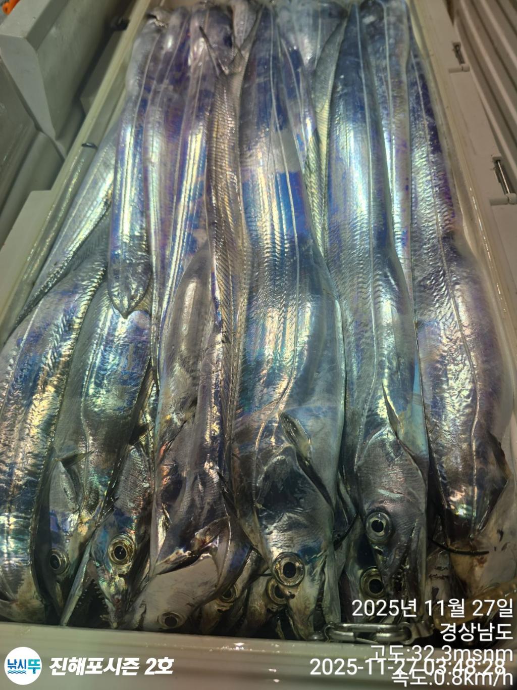 낚시뚜,갈치,진해행암항,진해포시즌 2호,낚시뚜18