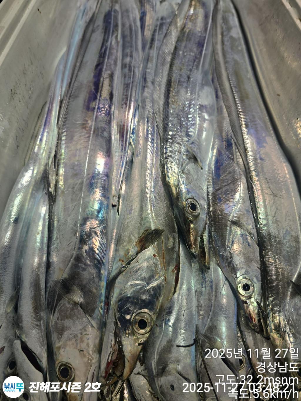 낚시뚜,갈치,진해행암항,진해포시즌 2호,낚시뚜16