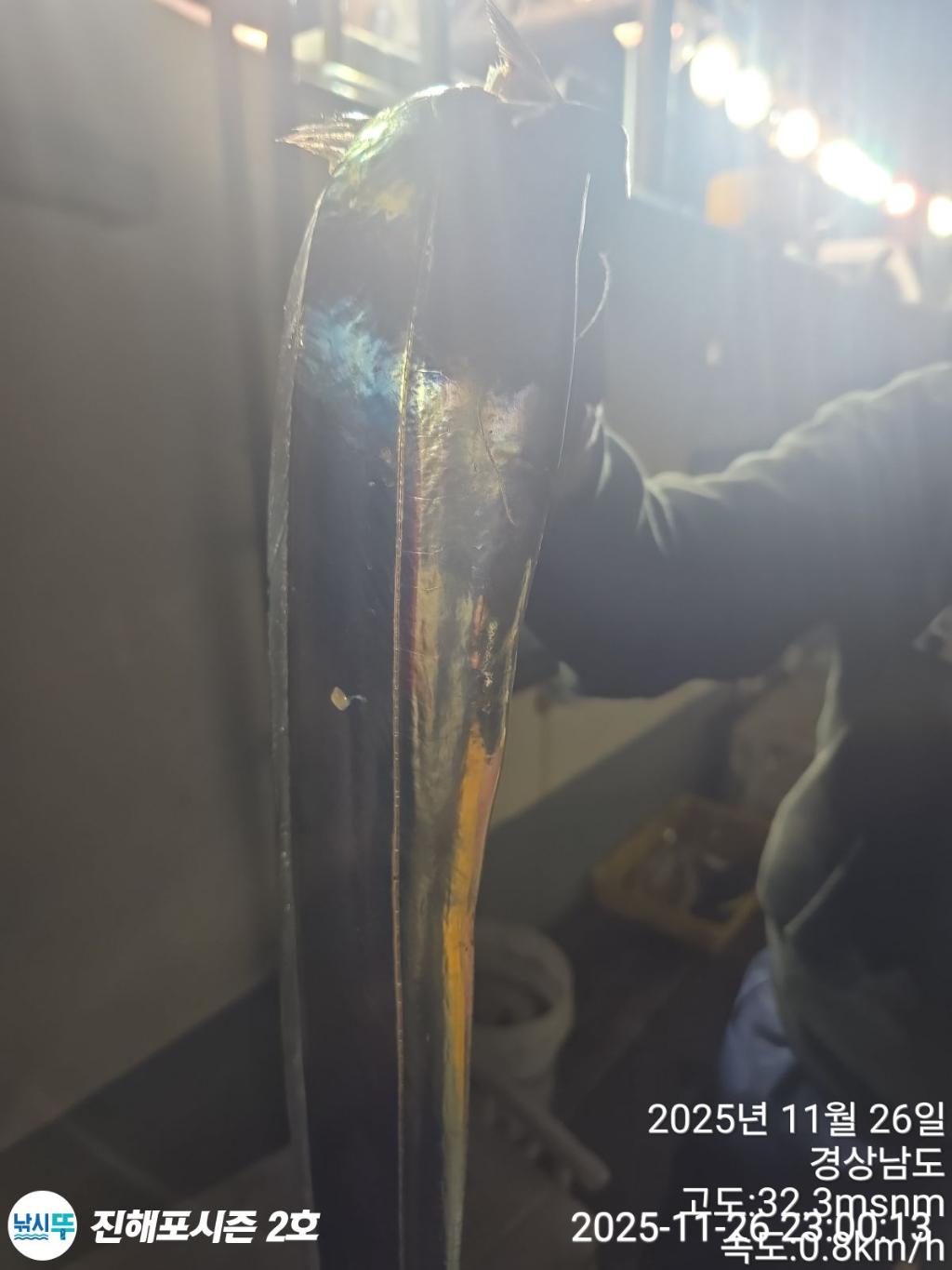 낚시뚜,갈치,진해행암항,진해포시즌 2호,낚시뚜3