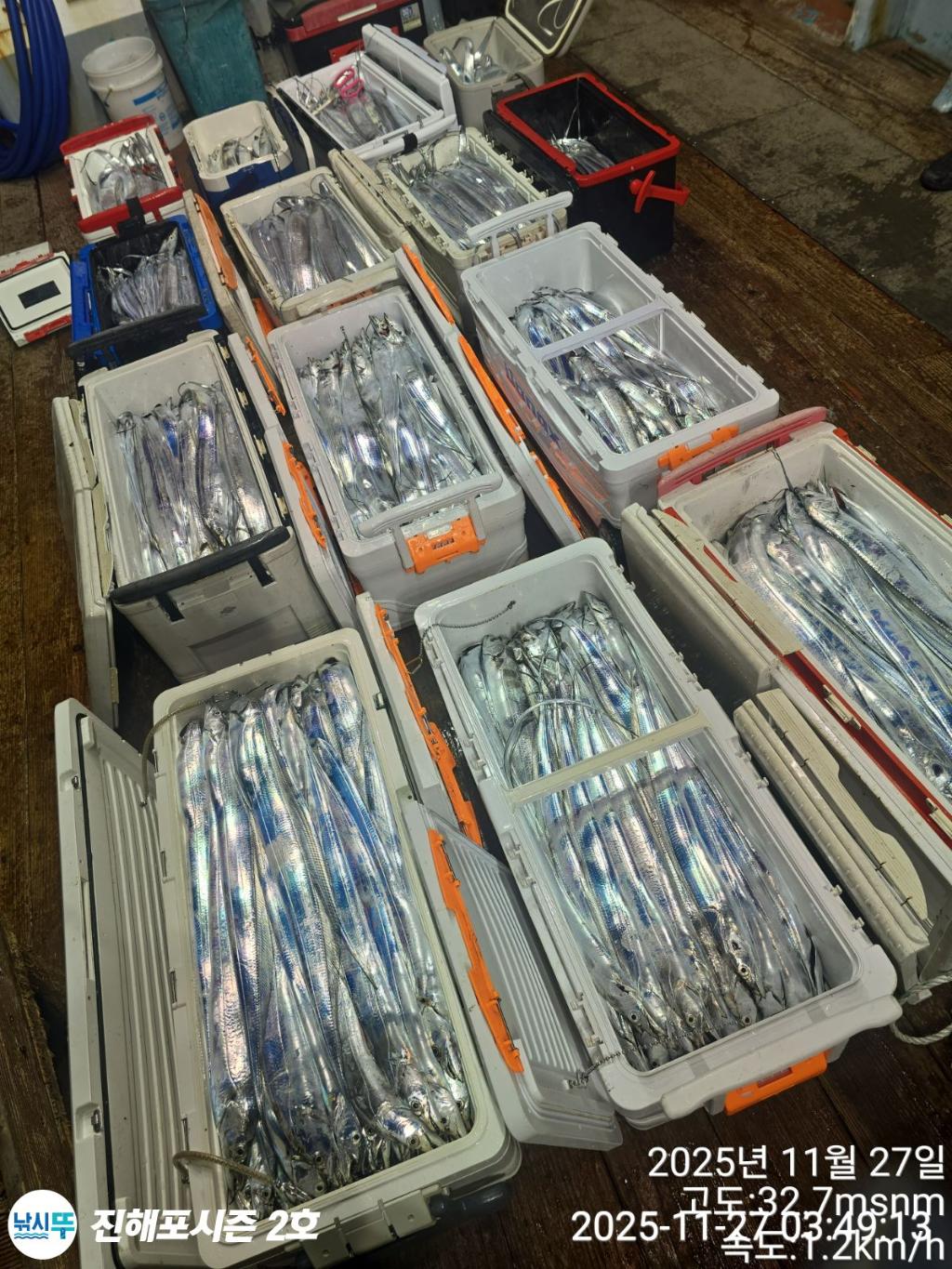 낚시뚜,갈치,진해행암항,진해포시즌 2호,낚시뚜0