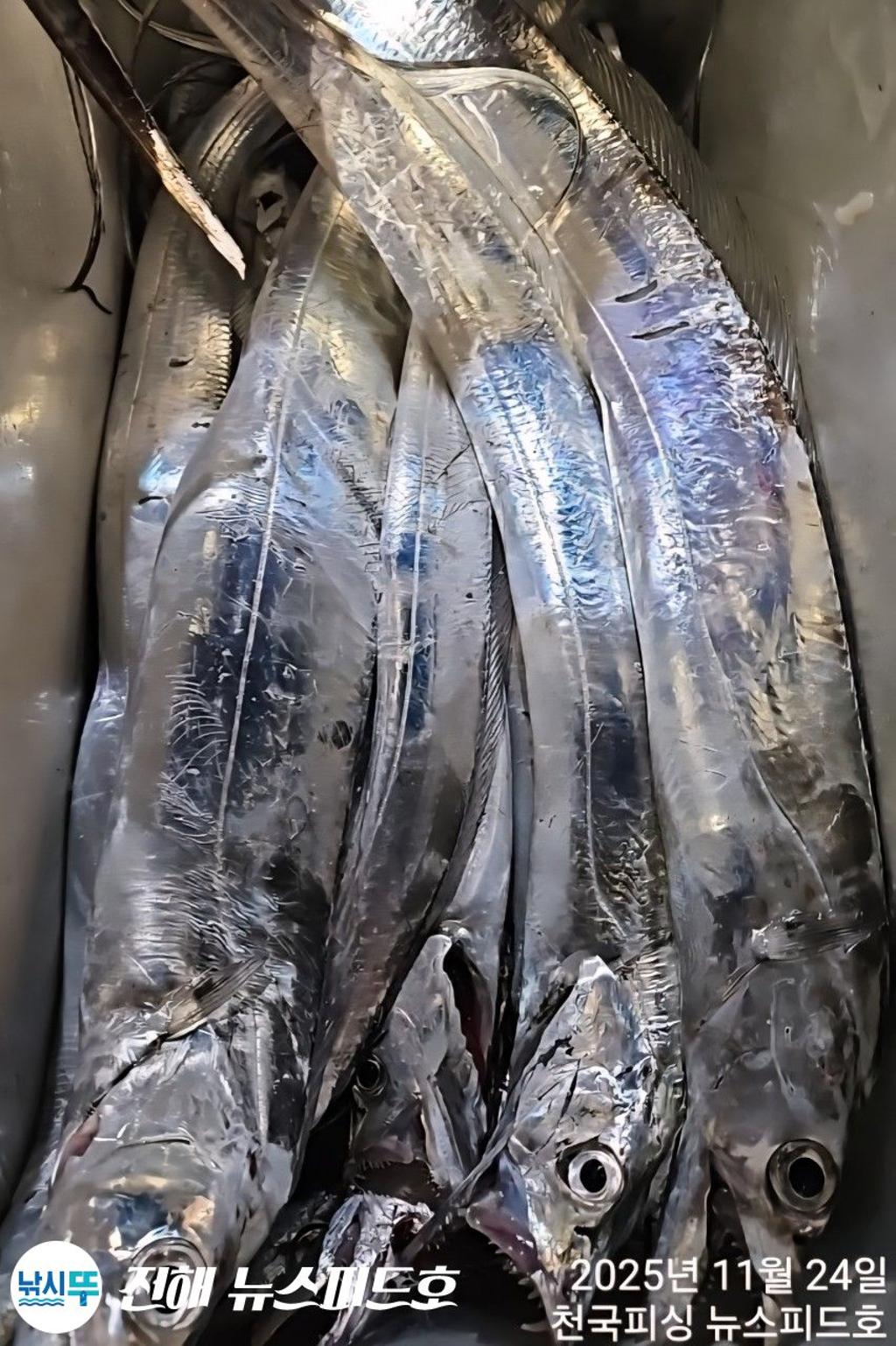 낚시뚜,,진해행암항,진해 뉴스피드호,낚시뚜11