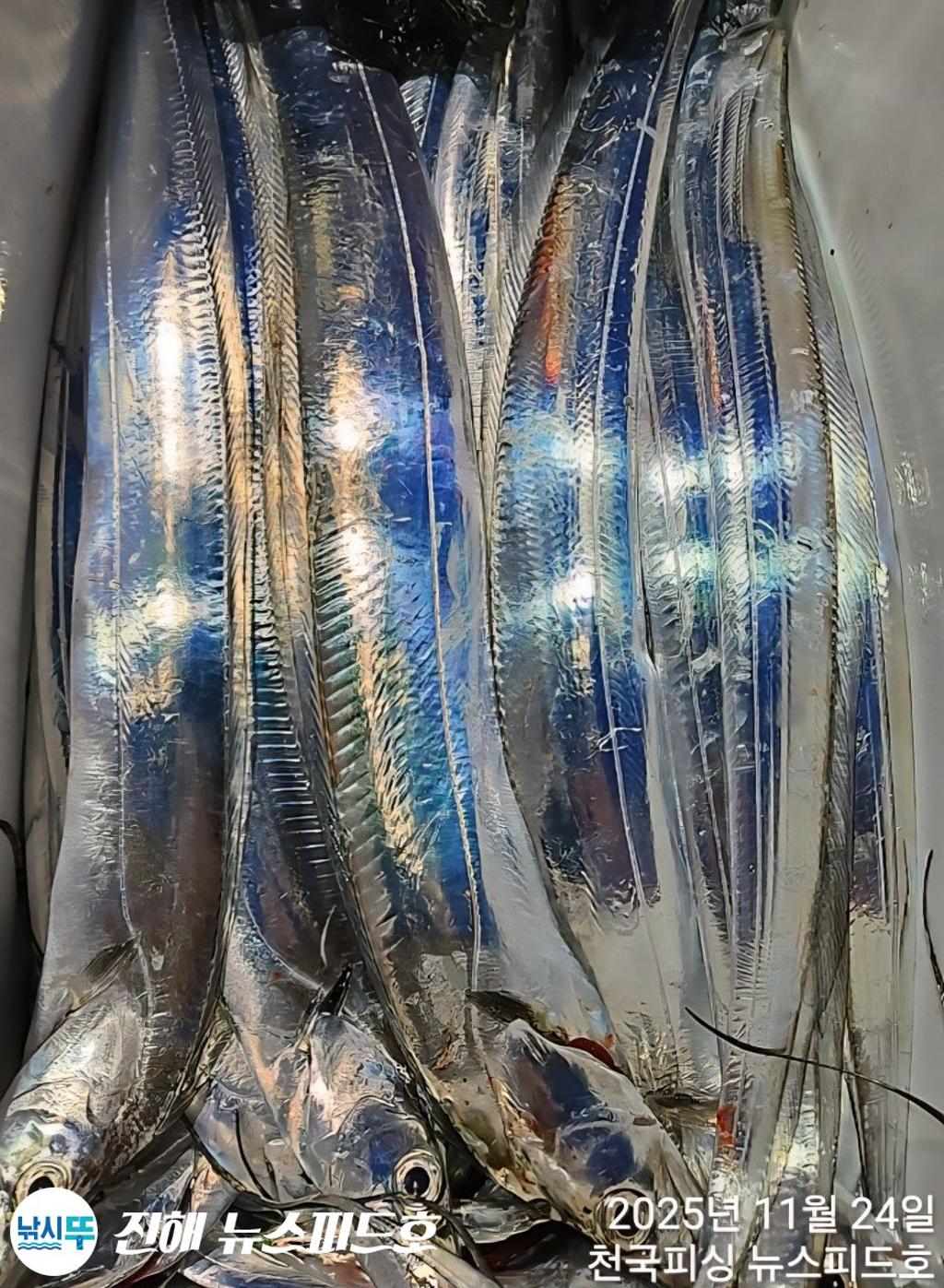 낚시뚜,,진해행암항,진해 뉴스피드호,낚시뚜5