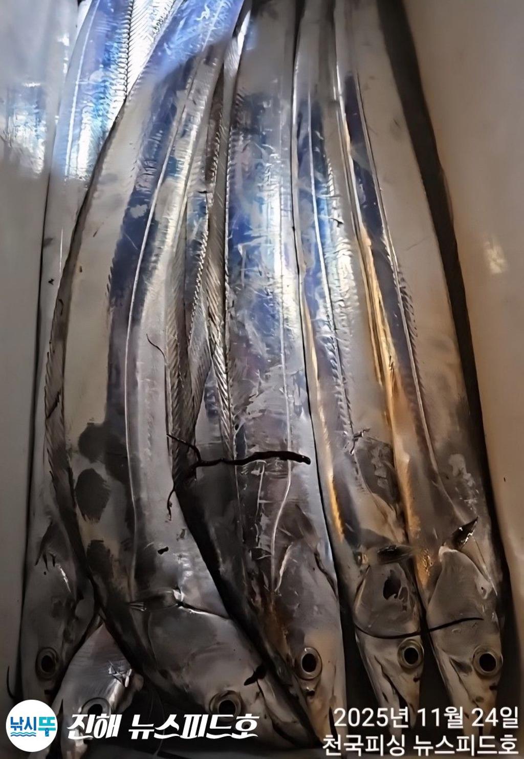 낚시뚜,,진해행암항,진해 뉴스피드호,낚시뚜4