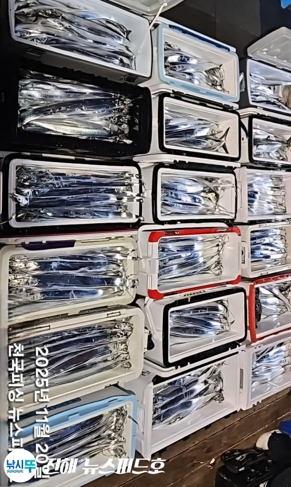 낚시뚜,,진해행암항,진해 뉴스피드호,낚시뚜2