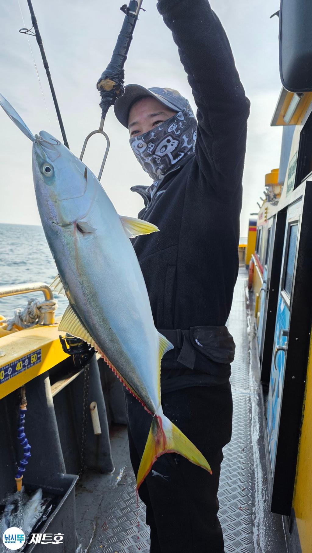 낚시뚜,방어,삼치,영일만항,포항 제트호,낚시뚜12
