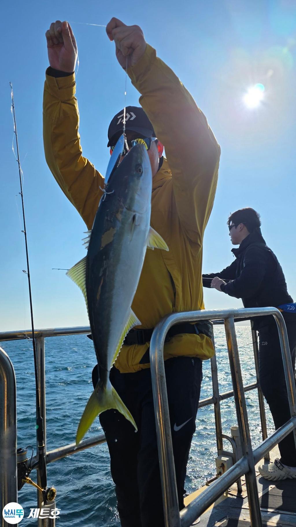 낚시뚜,방어,삼치,영일만항,포항 제트호,낚시뚜9