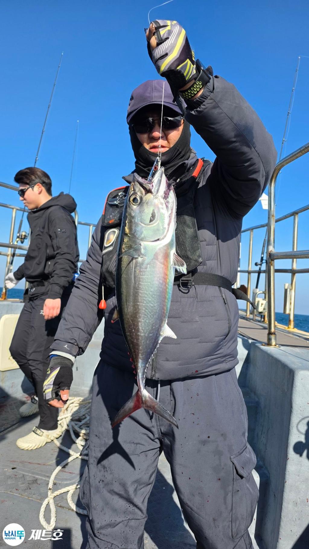 낚시뚜,방어,삼치,영일만항,포항 제트호,낚시뚜8