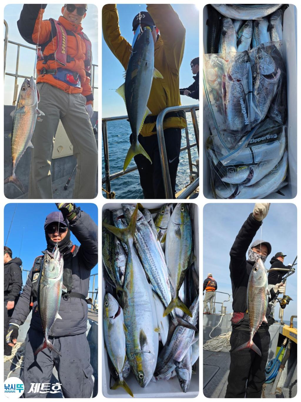 낚시뚜,방어,삼치,영일만항,포항 제트호,낚시뚜2