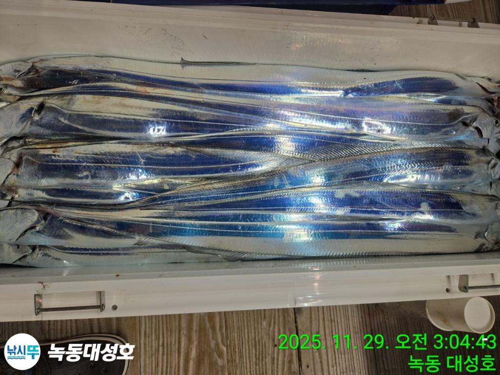 낚시뚜,갈치,녹동항,녹동대성호,낚시뚜71