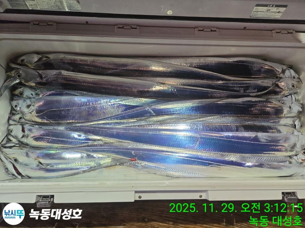 낚시뚜,갈치,녹동항,녹동대성호,낚시뚜70