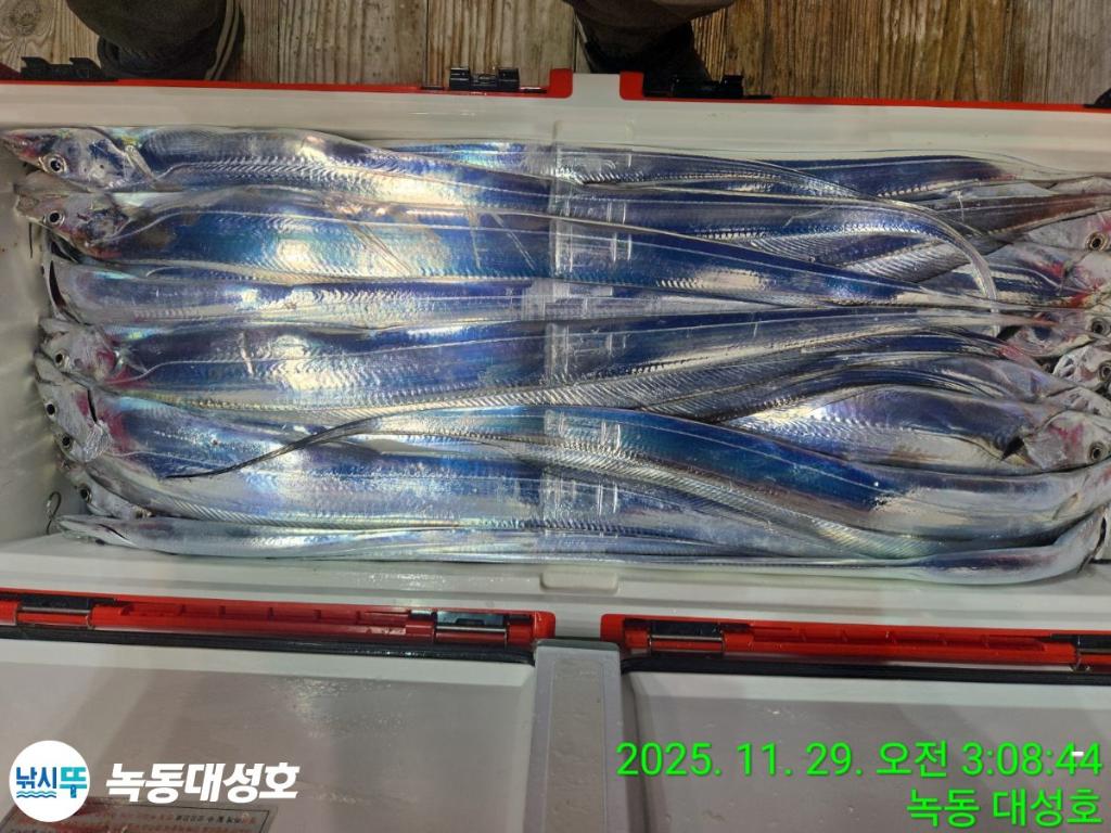낚시뚜,갈치,녹동항,녹동대성호,낚시뚜68