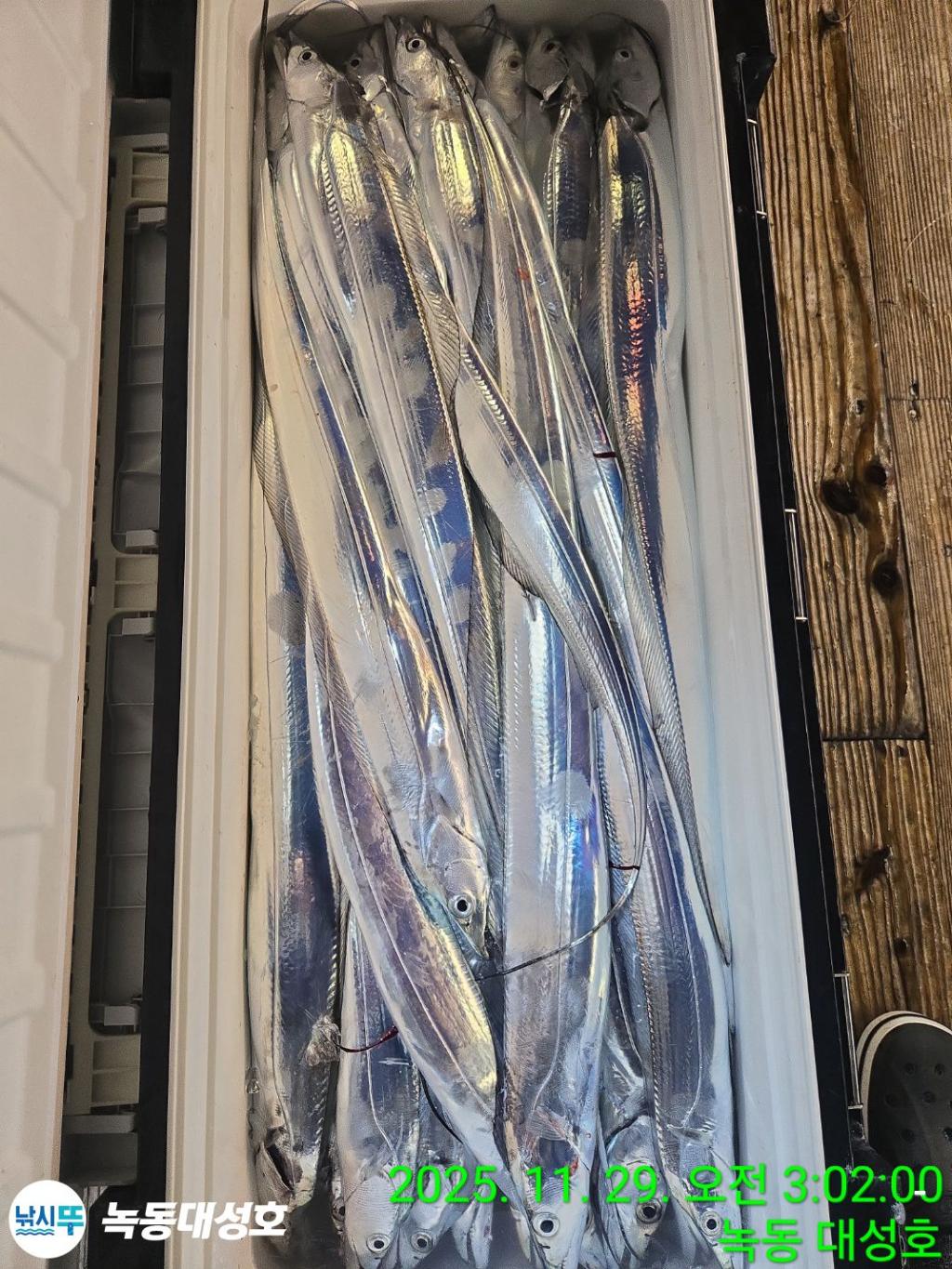 낚시뚜,갈치,녹동항,녹동대성호,낚시뚜65