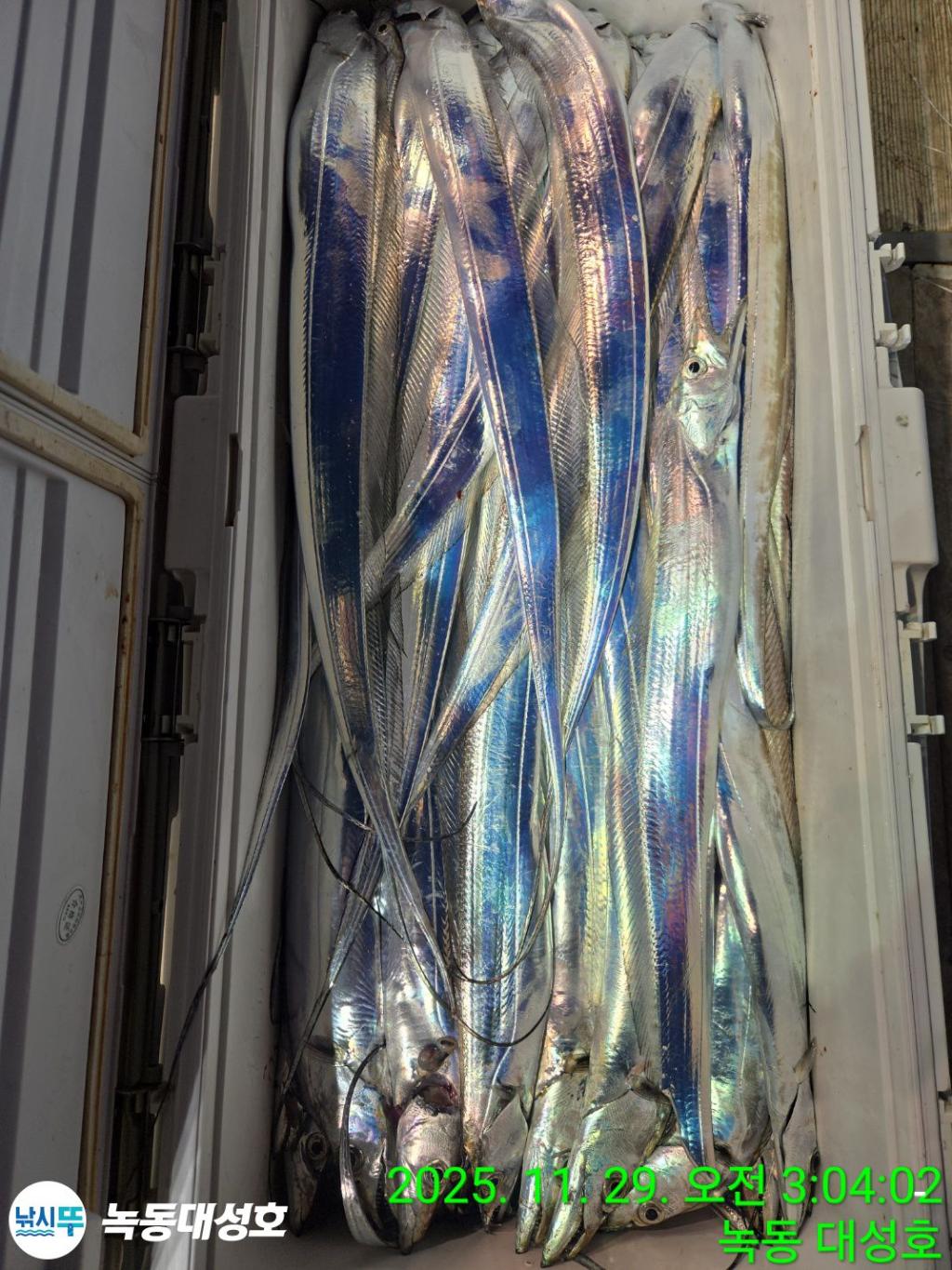 낚시뚜,갈치,녹동항,녹동대성호,낚시뚜60