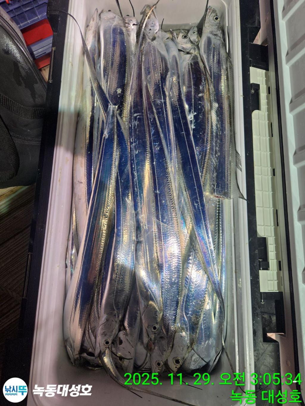 낚시뚜,갈치,녹동항,녹동대성호,낚시뚜59