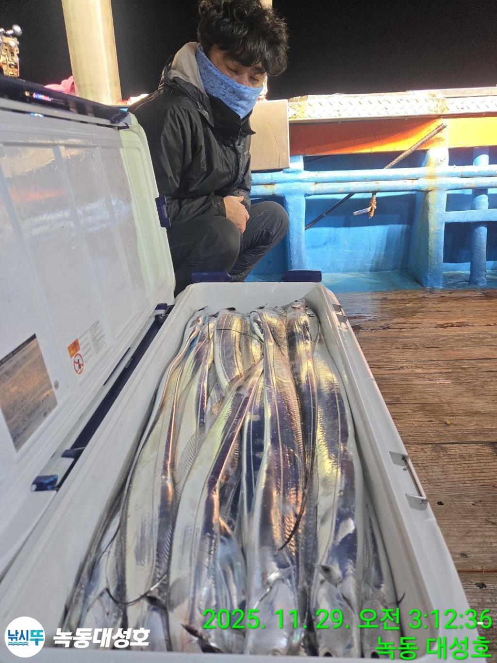 낚시뚜,갈치,녹동항,녹동대성호,낚시뚜38