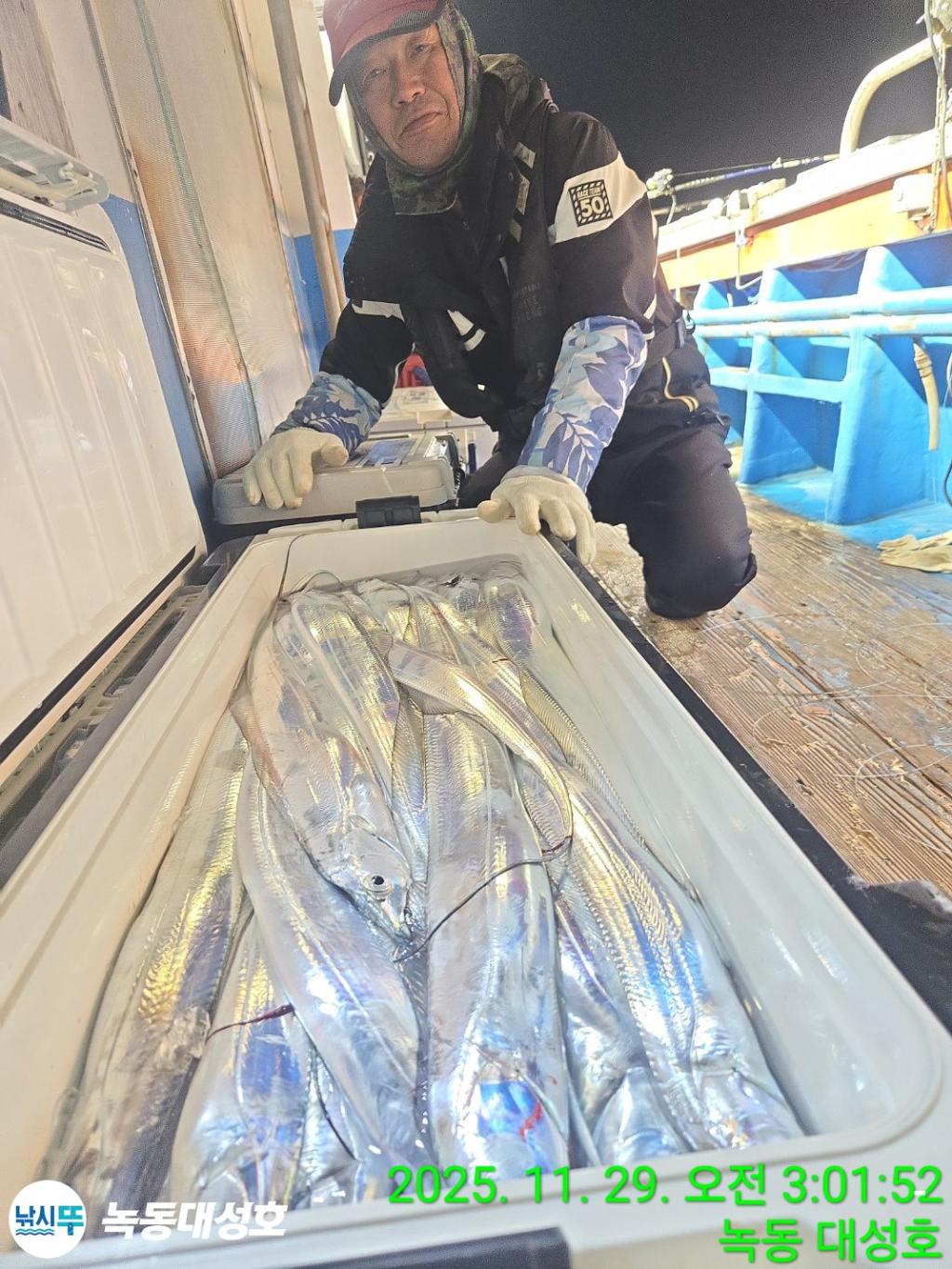 낚시뚜,갈치,녹동항,녹동대성호,낚시뚜29