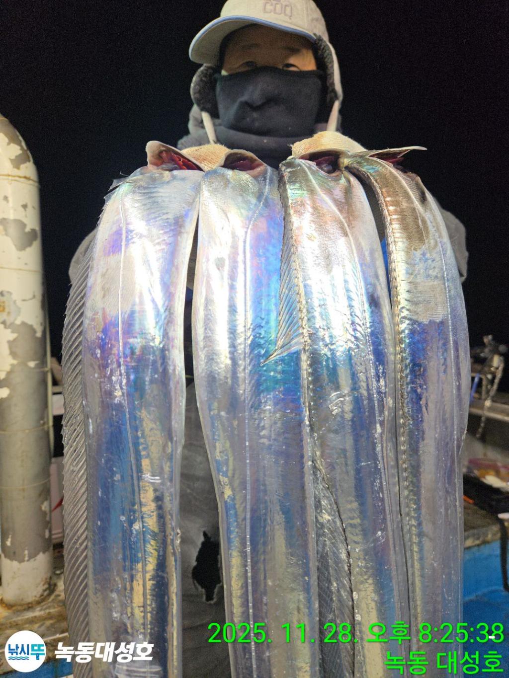 낚시뚜,갈치,녹동항,녹동대성호,낚시뚜25