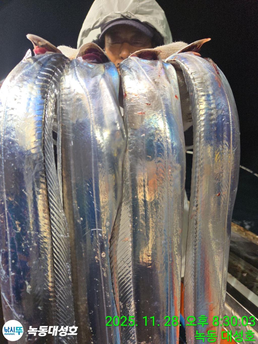 낚시뚜,갈치,녹동항,녹동대성호,낚시뚜24