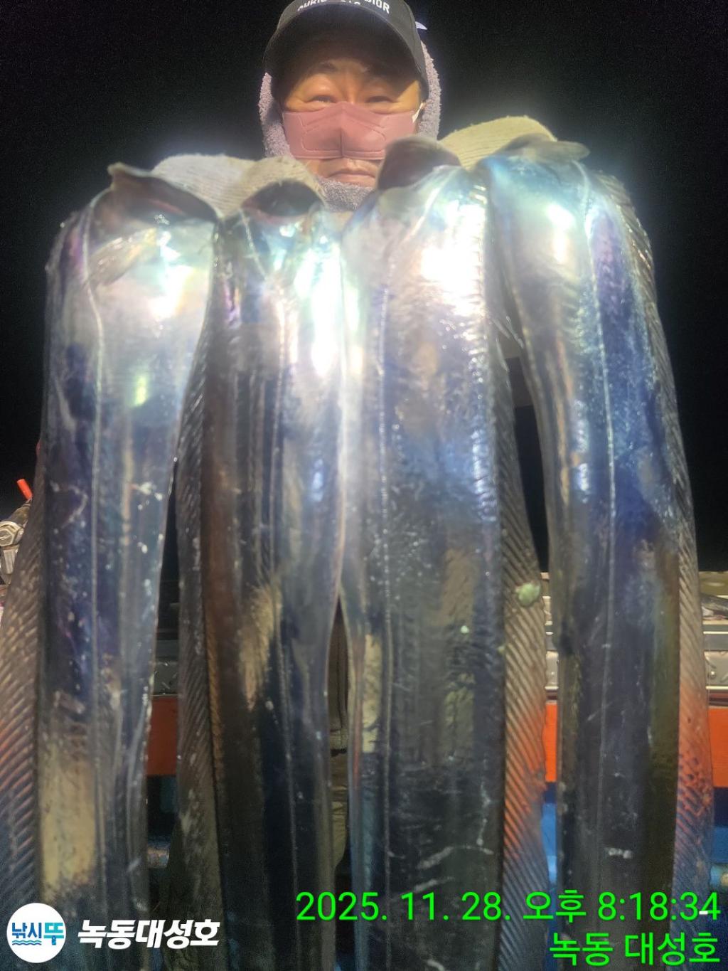 낚시뚜,갈치,녹동항,녹동대성호,낚시뚜22