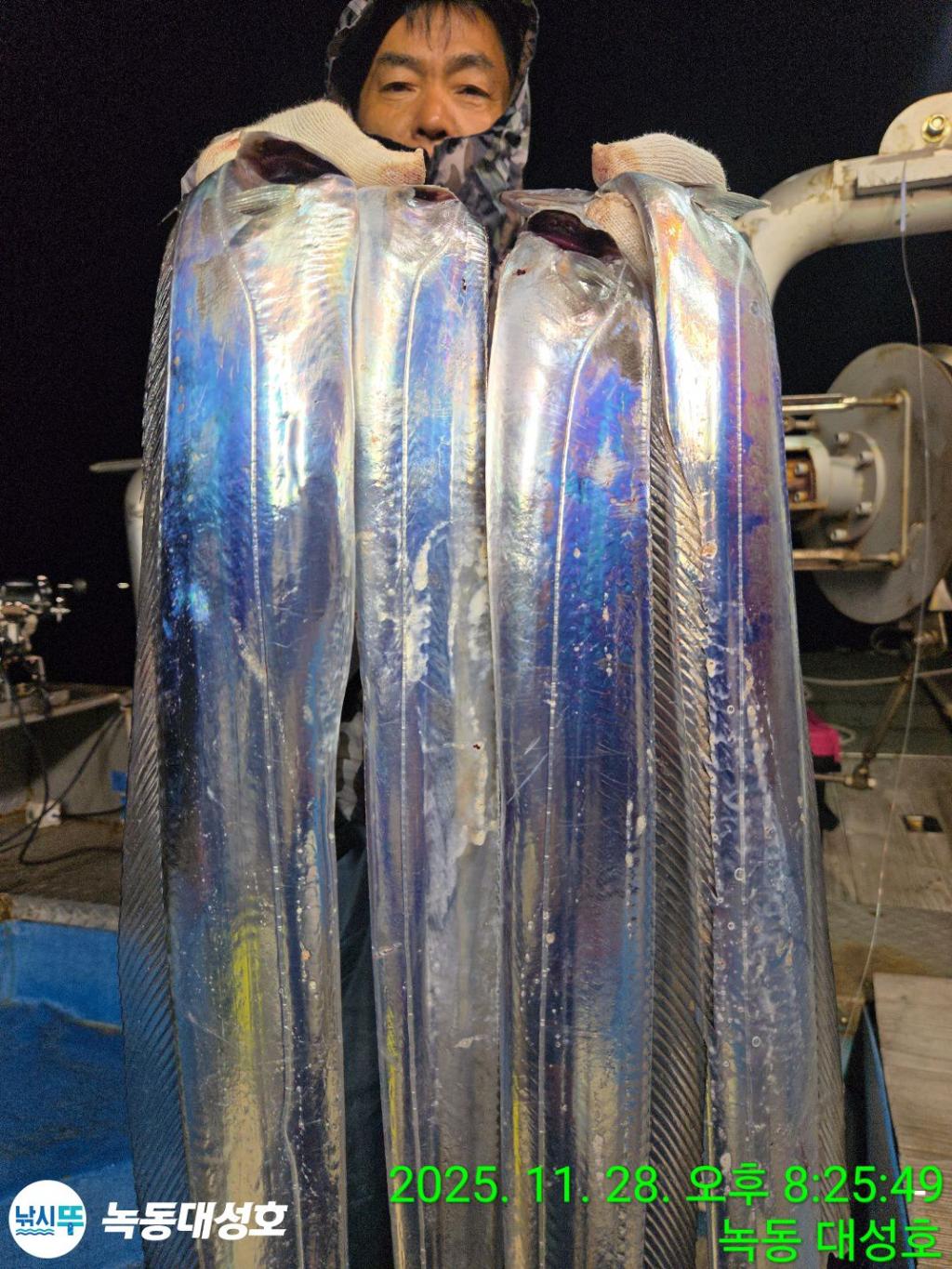 낚시뚜,갈치,녹동항,녹동대성호,낚시뚜21