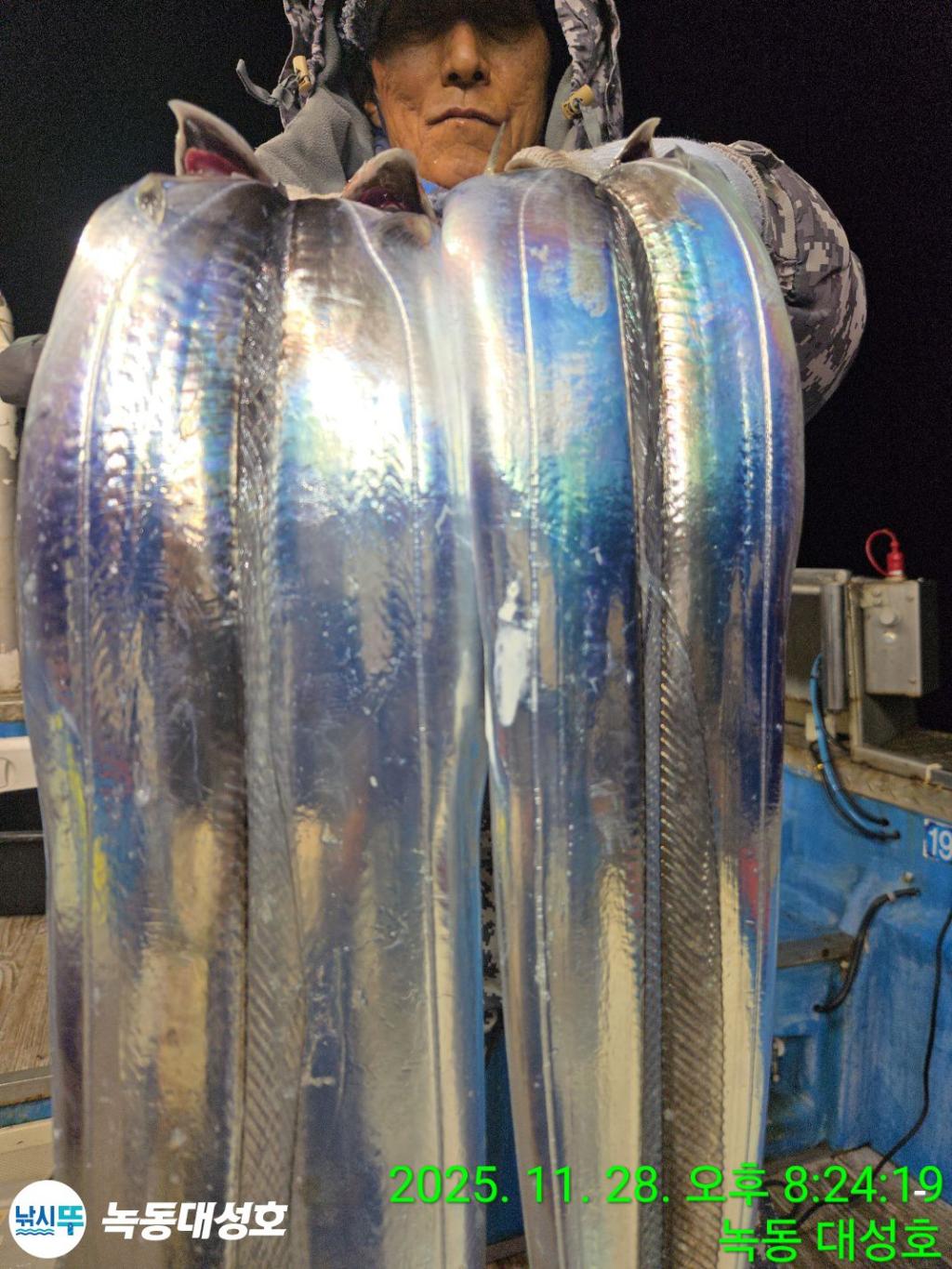 낚시뚜,갈치,녹동항,녹동대성호,낚시뚜20