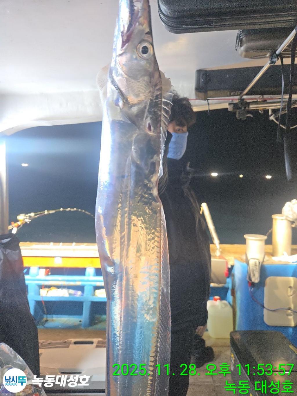 낚시뚜,갈치,녹동항,녹동대성호,낚시뚜14