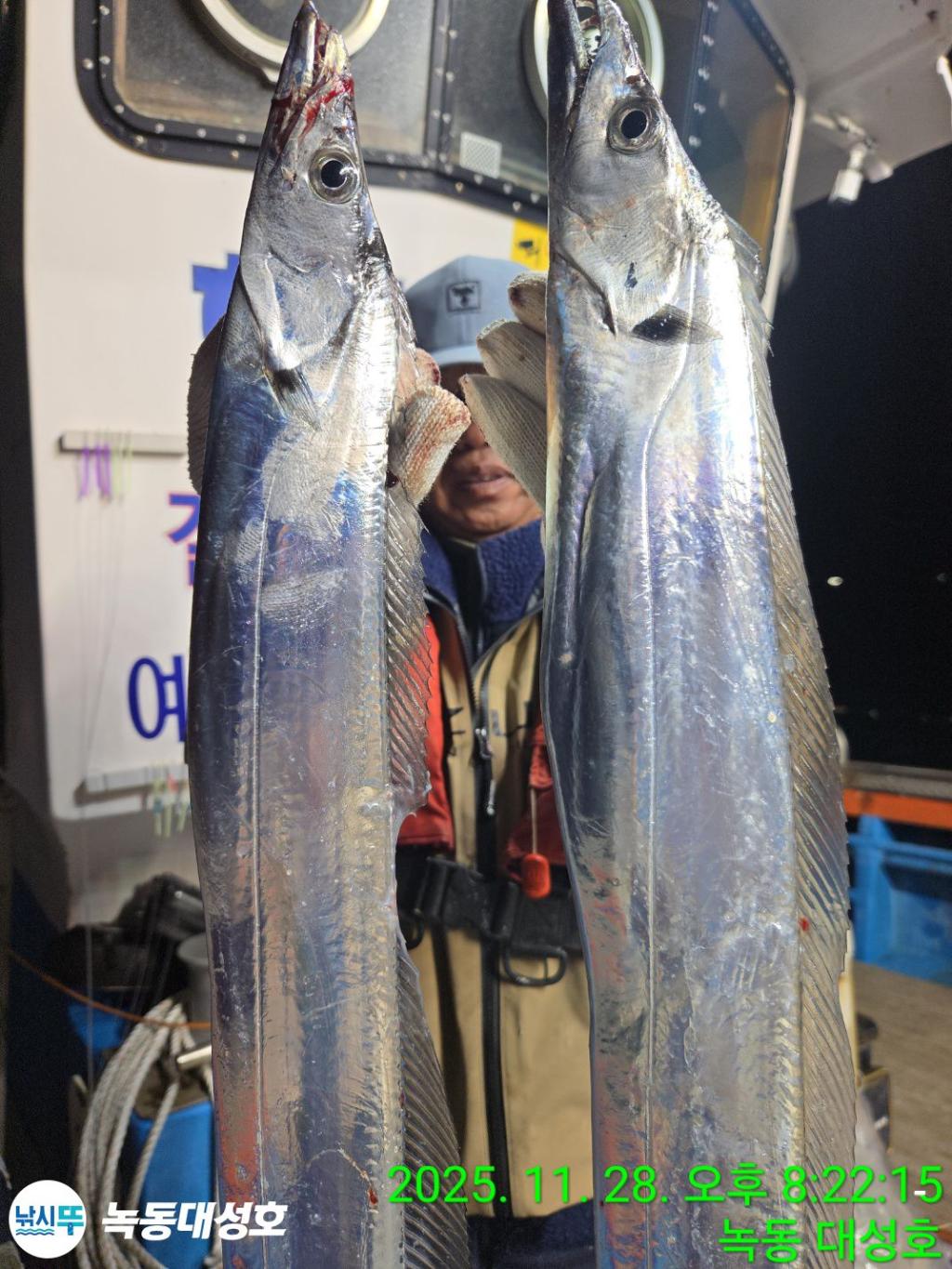 낚시뚜,갈치,녹동항,녹동대성호,낚시뚜12