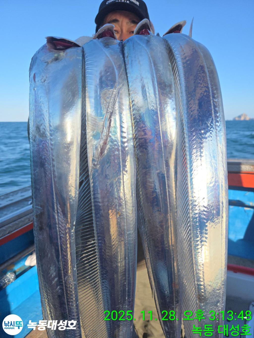 낚시뚜,갈치,녹동항,녹동대성호,낚시뚜9