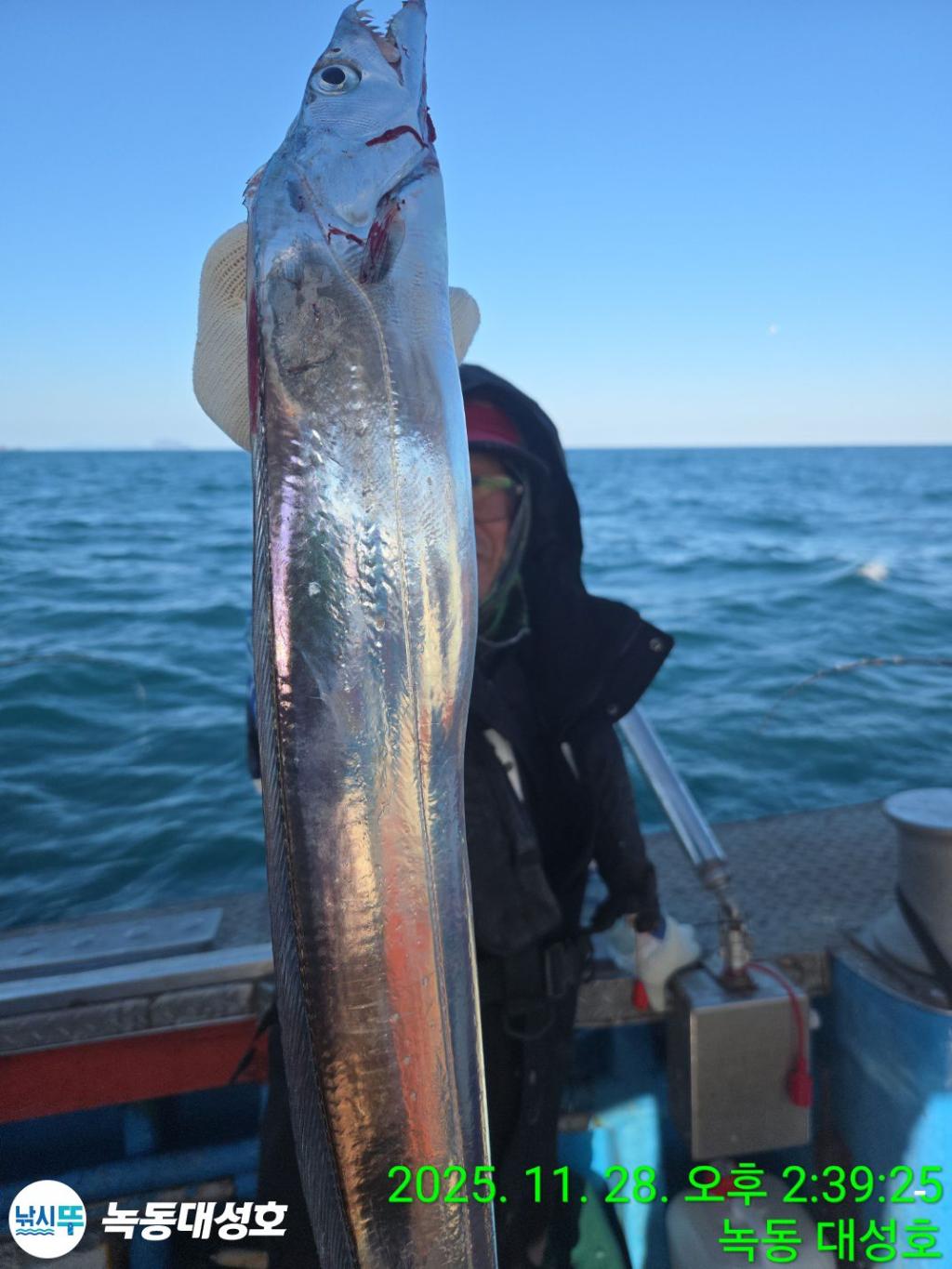 낚시뚜,갈치,녹동항,녹동대성호,낚시뚜6