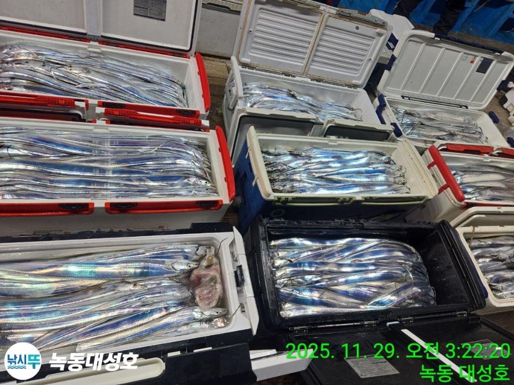 낚시뚜,갈치,녹동항,녹동대성호,낚시뚜3