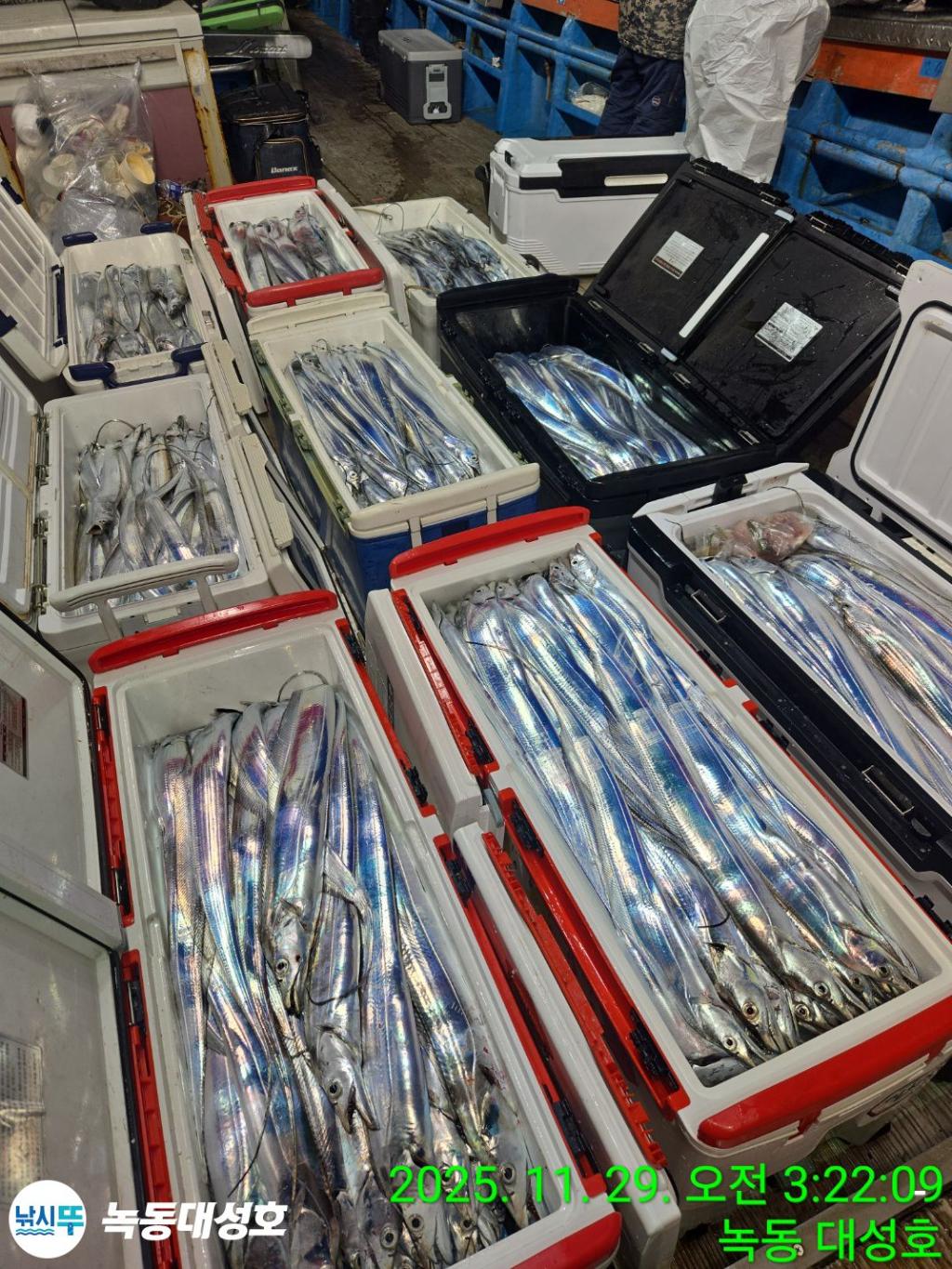 낚시뚜,갈치,녹동항,녹동대성호,낚시뚜2