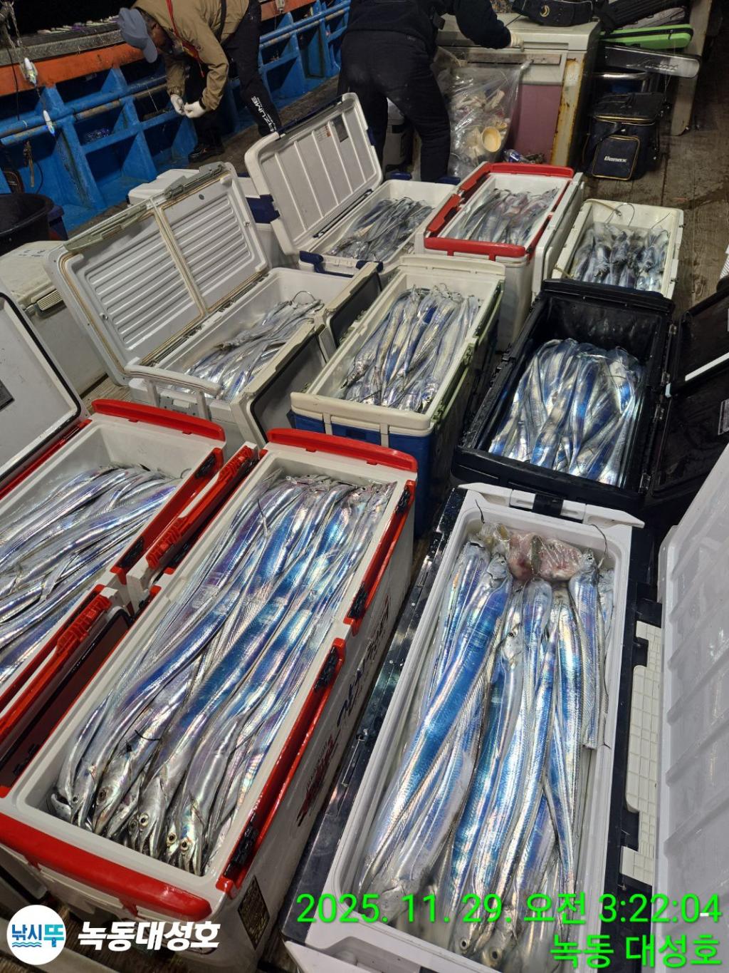 낚시뚜,갈치,녹동항,녹동대성호,낚시뚜1