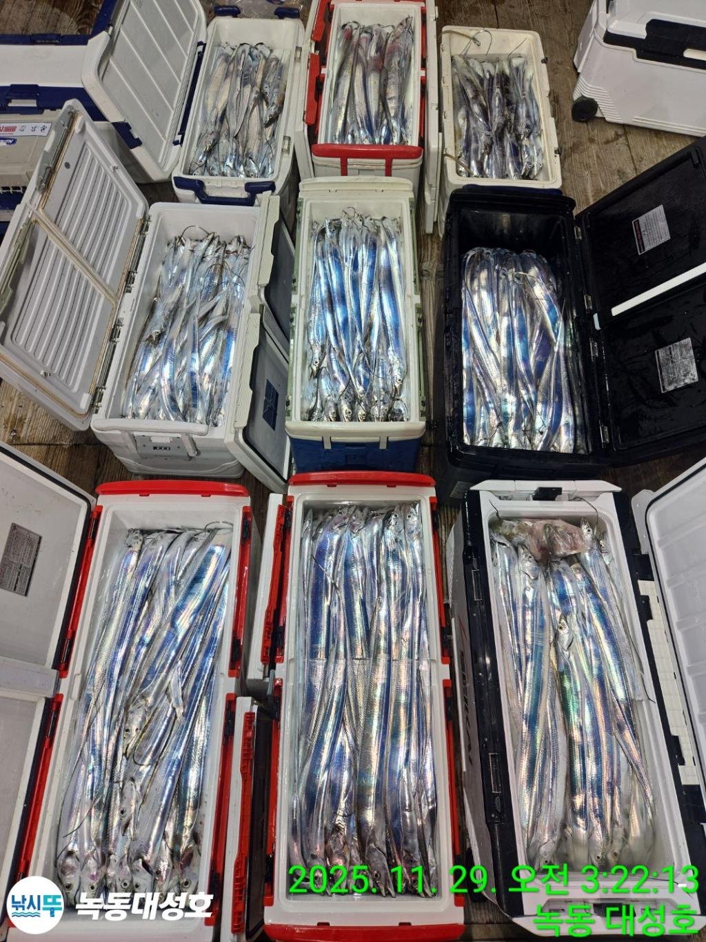 낚시뚜,갈치,녹동항,녹동대성호,낚시뚜0