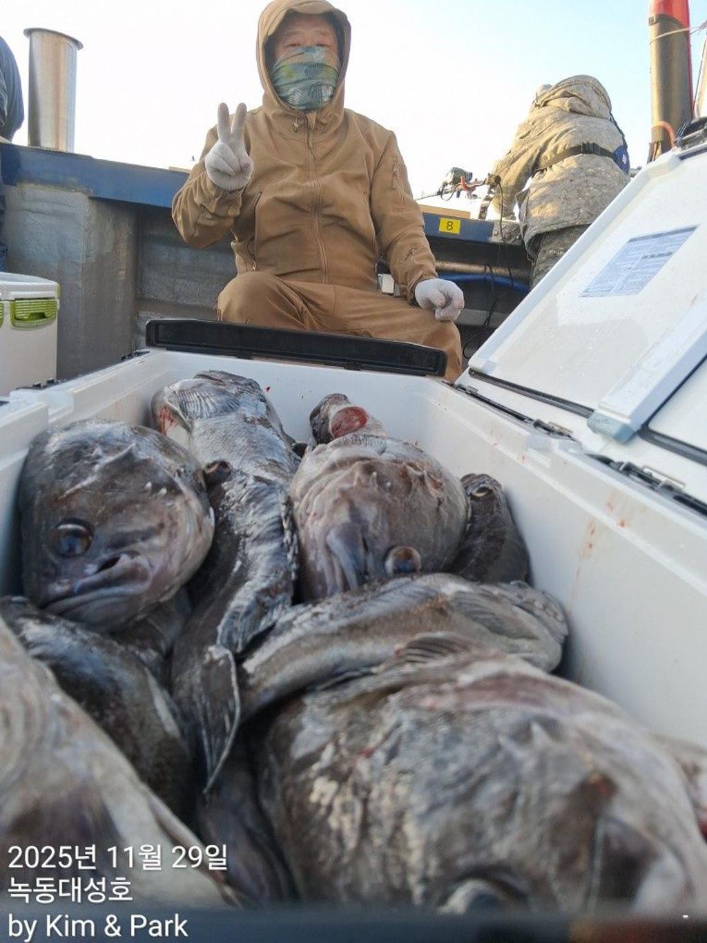 낚시뚜,우럭,열기,녹동항,녹동대성호,낚시뚜29