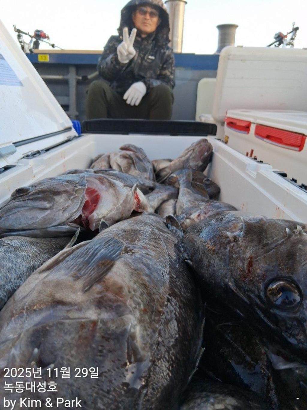 낚시뚜,우럭,열기,녹동항,녹동대성호,낚시뚜28