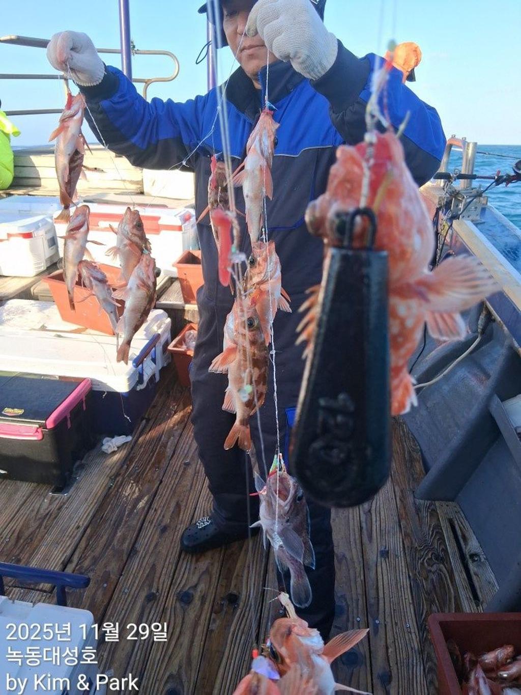 낚시뚜,우럭,열기,녹동항,녹동대성호,낚시뚜26