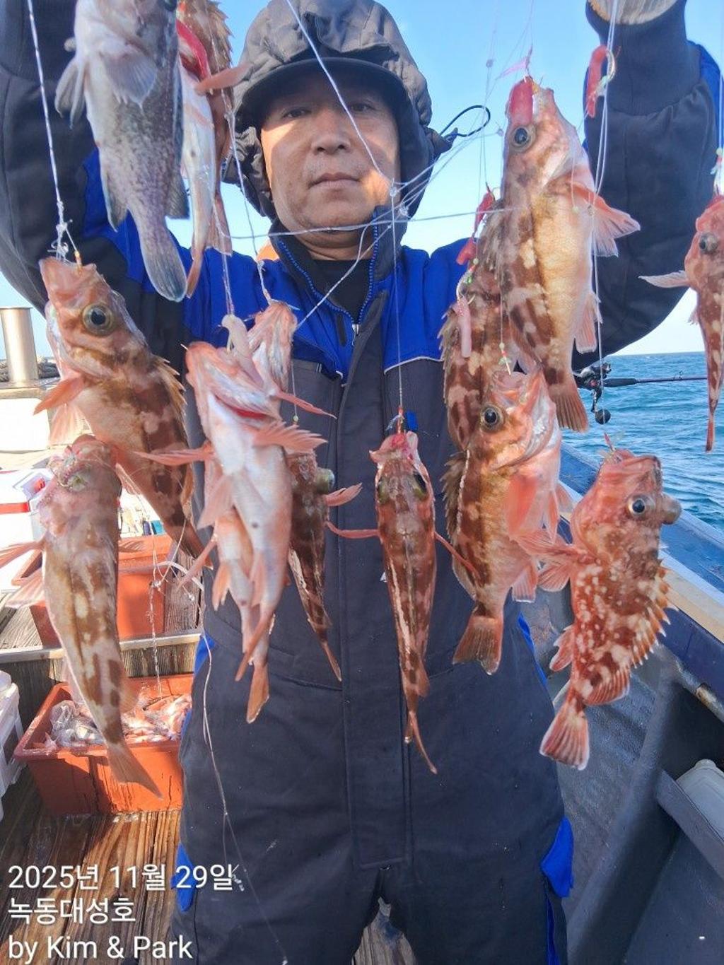 낚시뚜,우럭,열기,녹동항,녹동대성호,낚시뚜25