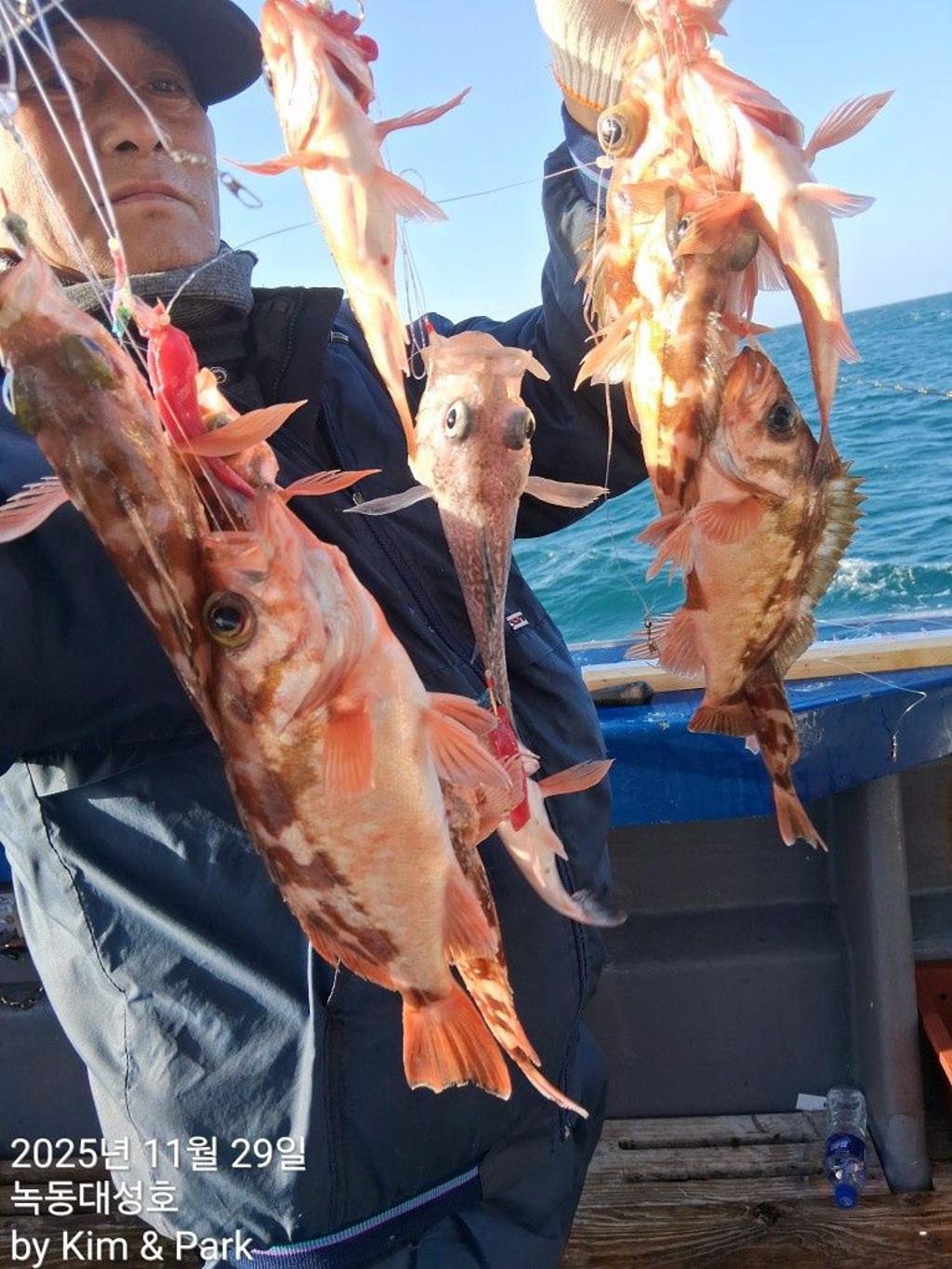 낚시뚜,우럭,열기,녹동항,녹동대성호,낚시뚜22