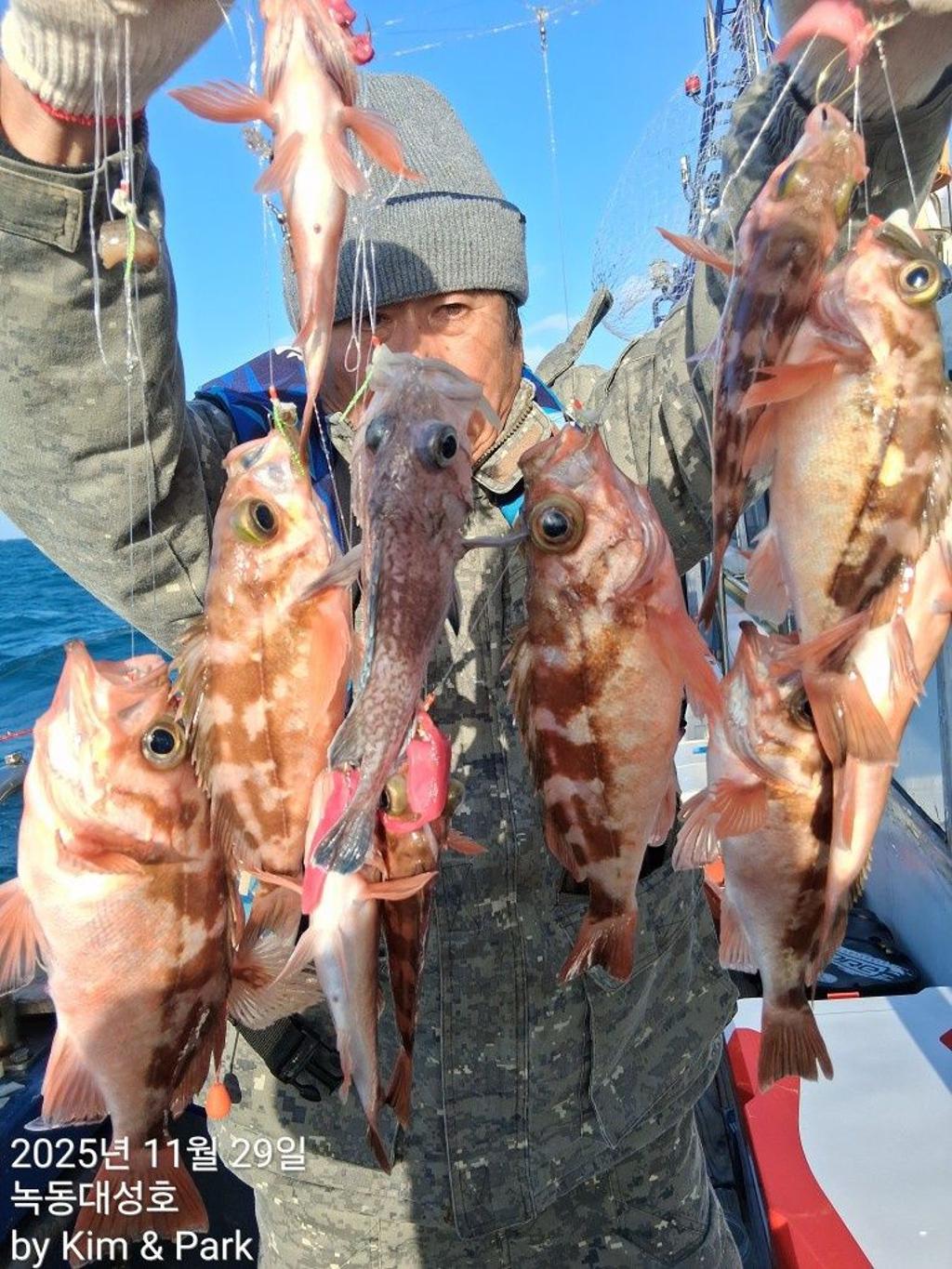 낚시뚜,우럭,열기,녹동항,녹동대성호,낚시뚜20