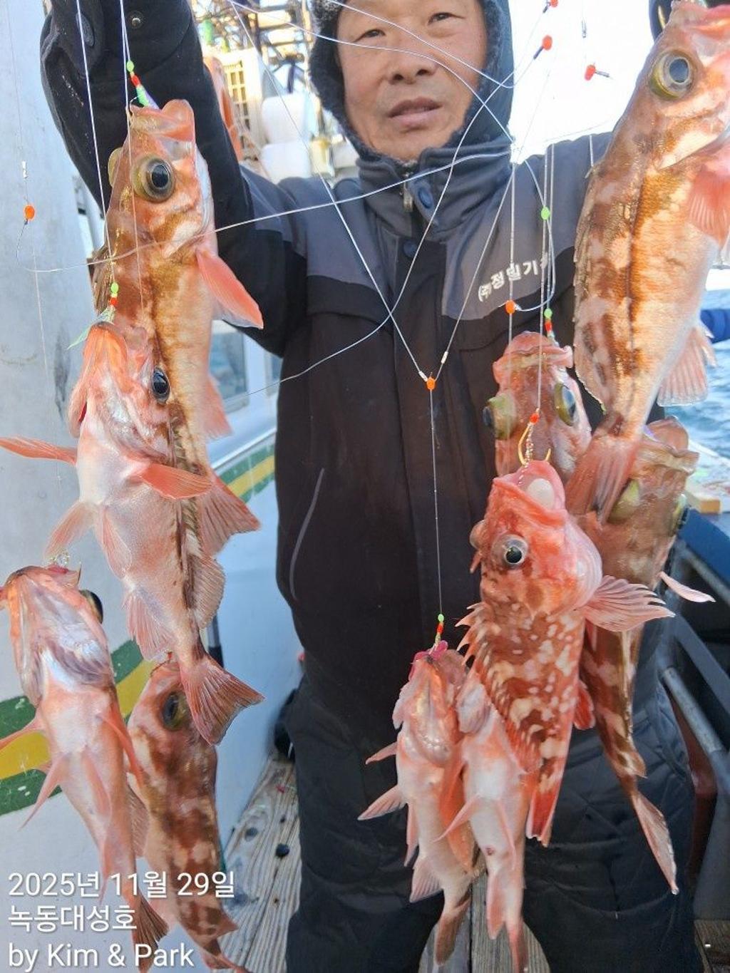 낚시뚜,우럭,열기,녹동항,녹동대성호,낚시뚜18