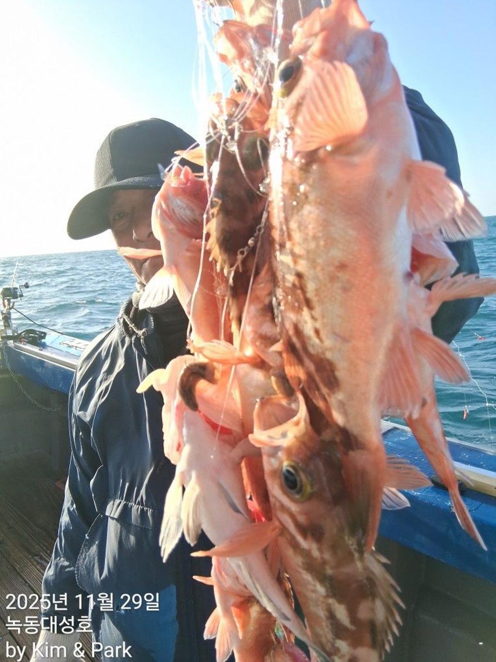 낚시뚜,우럭,열기,녹동항,녹동대성호,낚시뚜16