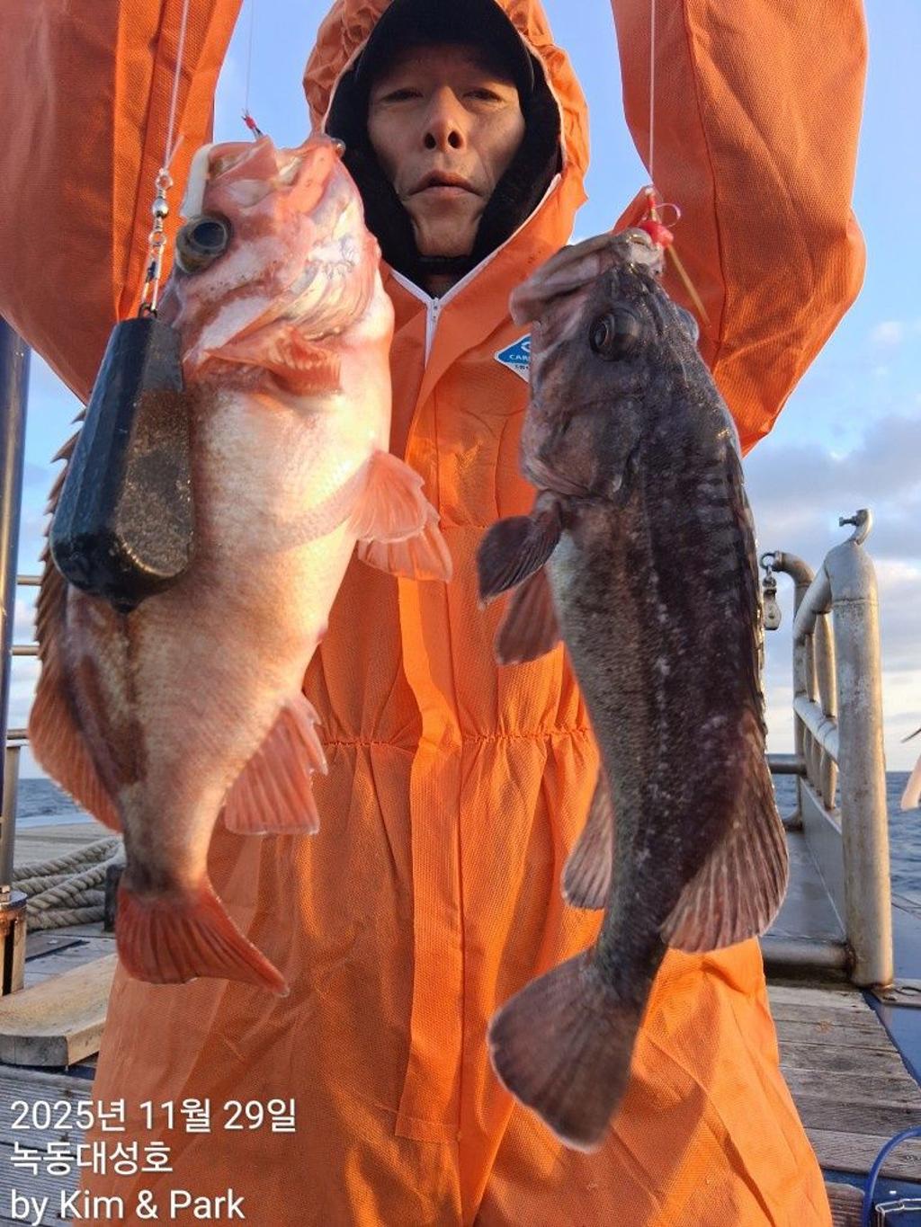 낚시뚜,우럭,열기,녹동항,녹동대성호,낚시뚜15