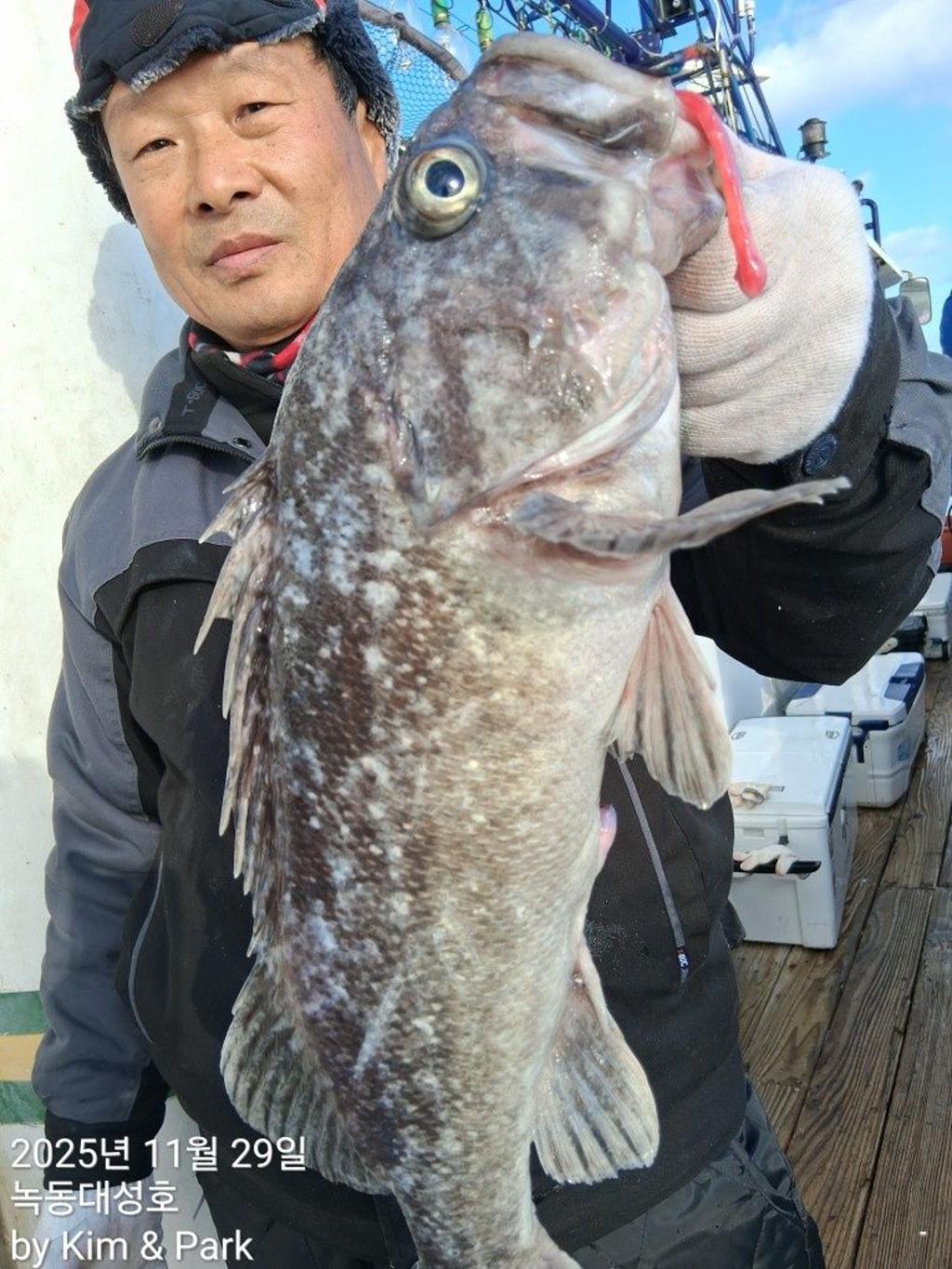 낚시뚜,우럭,열기,녹동항,녹동대성호,낚시뚜13