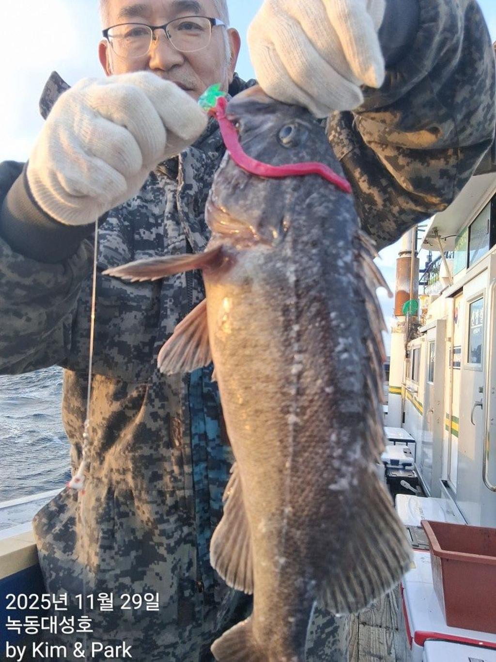 낚시뚜,우럭,열기,녹동항,녹동대성호,낚시뚜8