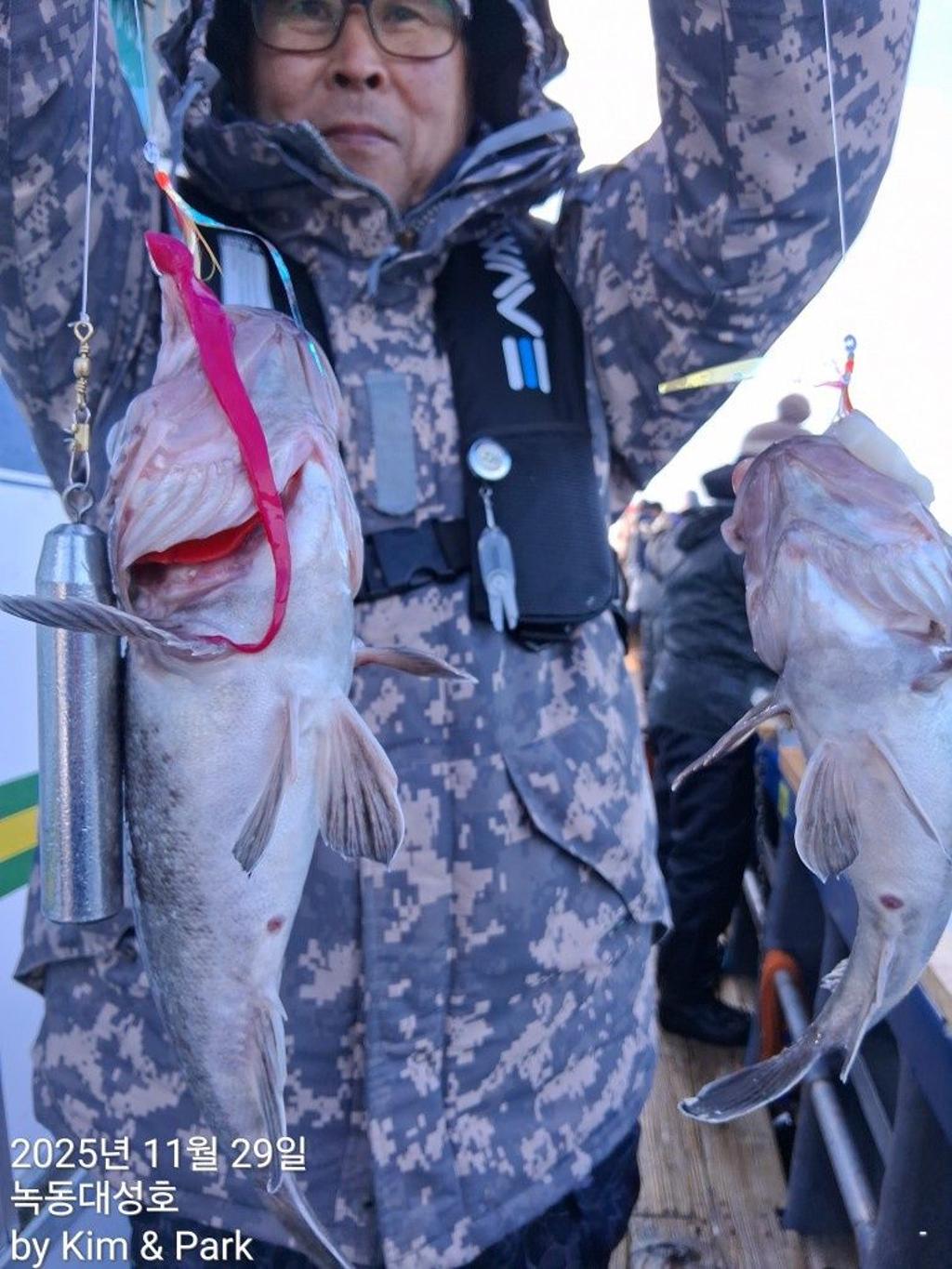 낚시뚜,우럭,열기,녹동항,녹동대성호,낚시뚜6