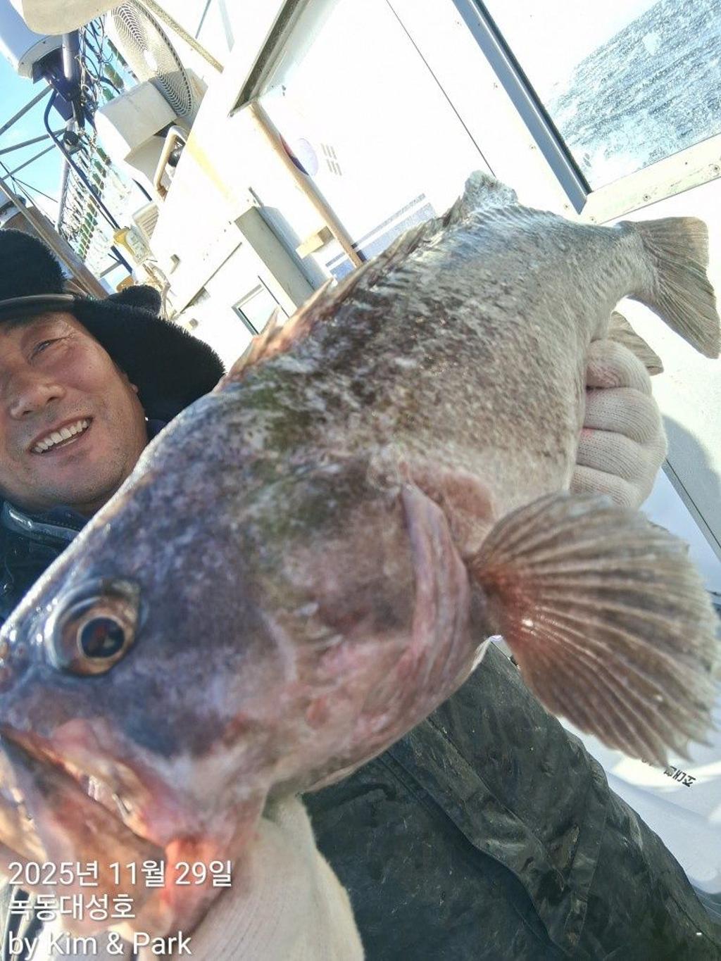 낚시뚜,우럭,열기,녹동항,녹동대성호,낚시뚜0